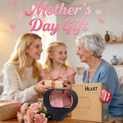 Metal Plant Hangers Indoor and Outdoor: Pots with Drainage Hole - color: Black Heart