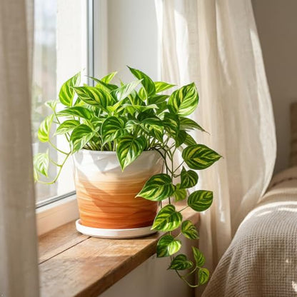 8 Inch Ceramic Plant Pot, Khaki + White - color: Khaki + White, size: 8 Inch-1 Pack