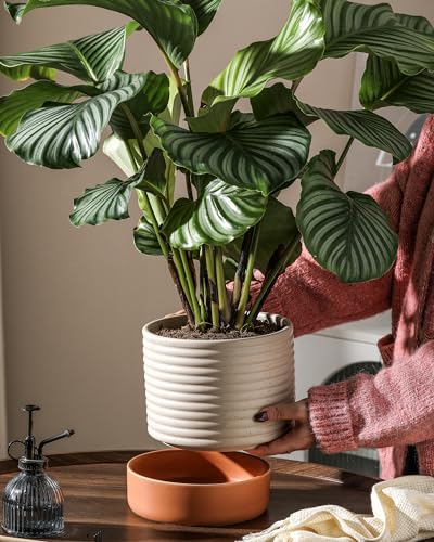 8 Inch Ceramic Self Watering Planter with Drainage Hole, Beige