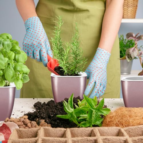 Oliz 4 Pack Self Watering Pots 4-inch Decorative Flower Planters for Indoor Plants Modern Square planters for Small Plants Window Sill Planters for Succulents, African Violets, Herbs(Rose Gold) - color: Rose Gold-4 Pack