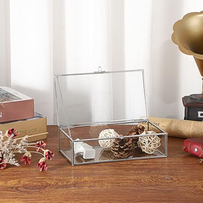 Hipiwe Glass Keepsake Display Box Large Clear Jewelry Lidded Boxes with Lid - color: Silver, size: Large