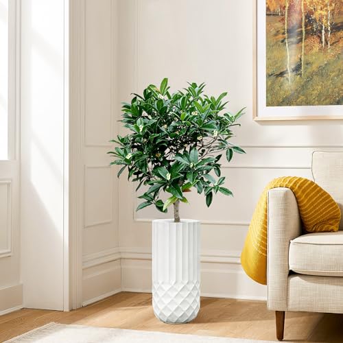 LuxenHome 19" White Tall Planter with Drainage, Modern Outdoor Plant Pot - color: White 19"