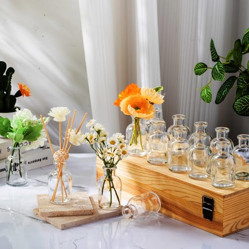 Lallisa 54 Pcs 3.15 Inches Small Glass Bud Vases Bulk Mini, Clear - color: Transparent, size: 3.15 Inches