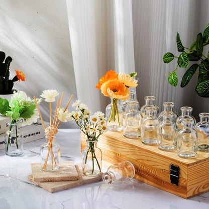 Lallisa 54 Pcs 3.15 Inches Small Glass Bud Vases Bulk Mini, Clear - color: Transparent, size: 3.15 Inches