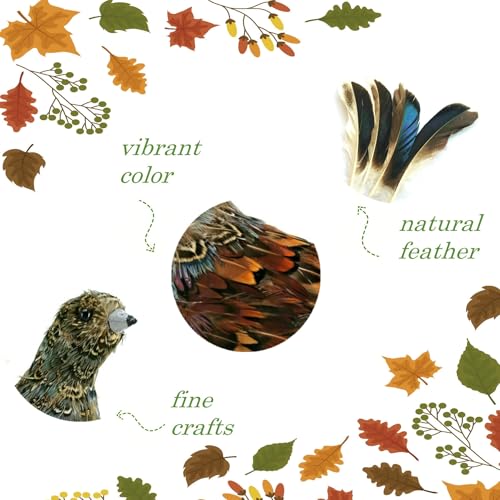naturevibe 7.5 Inches Feathered Quail Set of 2 Fall Decorations - style: Quail Decor-Set of 2