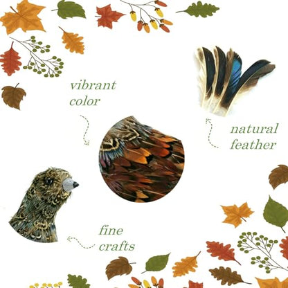 naturevibe 7.5 Inches Feathered Quail Set of 2 Fall Decorations - style: Quail Decor-Set of 2
