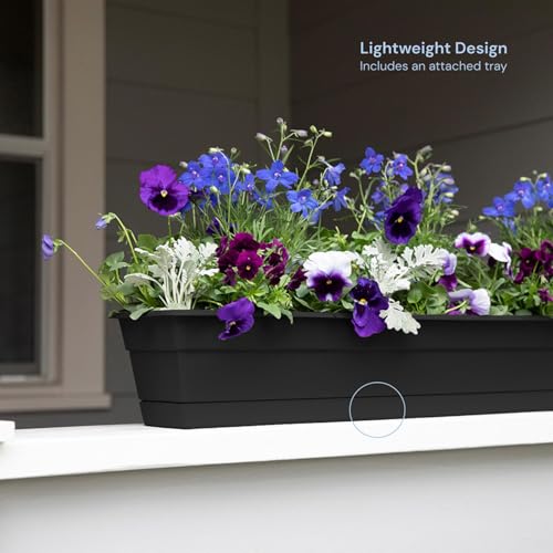 Bloem Dura Cotta 24" Plastic Window Box Planter with Saucer, Black, 3-Pack - color: Black, size: 24" (Pack of 3)
