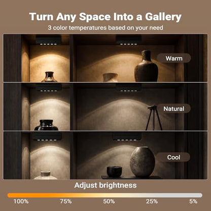 Rechargeable Indoor Spotlight, 5500mAh Battery Operated Picture Light with Daily Auto Timer, Wireless Art Light with Dimmable & 3CCT for Plant, Artwork, Gallery, Picture, Remote Control (2, Black)