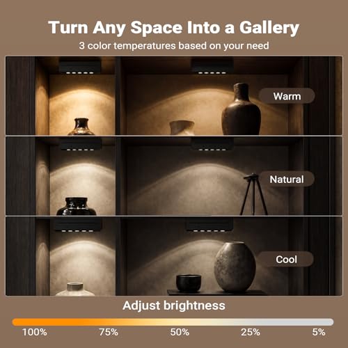 Rechargeable Indoor Spotlight, 5500mAh Battery Operated Picture Light with Daily Auto Timer, Wireless Art Light with Dimmable & 3CCT for Plant, Artwork, Gallery, Picture, Remote Control (2, Black)