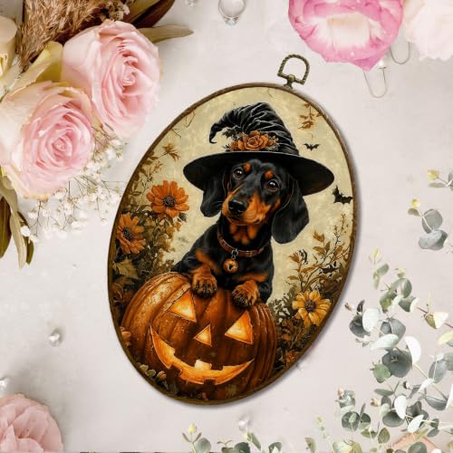 JQF Halloween Dachshund Witchy Pumpkin Oval Wall Decor Framed, 8.5x11.5 In - color: fall dog-1