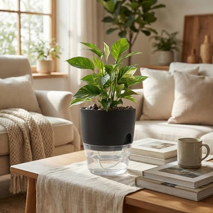 Vanavazon 6 Inch Self Watering Pots for Indoor Plants African Violet Pots - color: Black