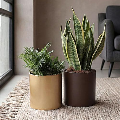 7 Inch Coffee Metal Plant Pot with Drainage Hole, Indoor Outdoor - color: Coffee