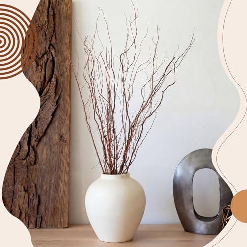 Thiccywoov 12 Pcs Real Dried Willow Branches 38 Inches Natural Curly - color: Natural, size: 38 Inches