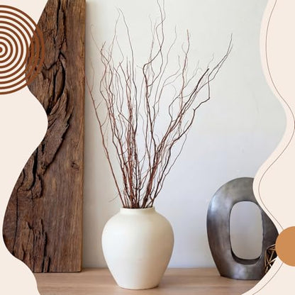 Thiccywoov 12 Pcs Real Dried Willow Branches 38 Inches Natural Curly - color: Natural, size: 38 Inches