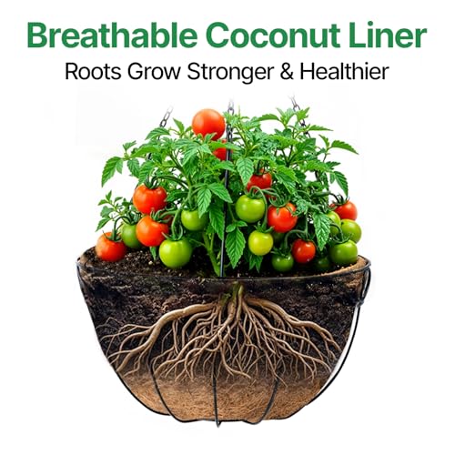 AMAGABELI Garden & Home 4 Pack 15 Inch Plant Hanging Baskets Metal Hanging Planter Flower Pots Outdoor Indoor Wire Hanging Basket for Plants with Coco Fiber Liners Chain for Garden Home Porch Decor
