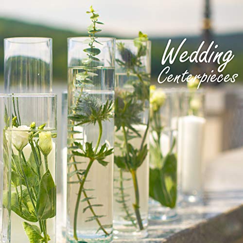 CYS Excel Clear Glass Cylinder Vase (H:28" D:4") | Multiple Size Choices Glass Flower Vase Centerpieces | Hurricane Floating Candle Holder Vase - size: H-28" D-4"