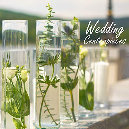 CYS Excel Clear Glass Cylinder Vase (H:28" D:4") | Multiple Size Choices Glass Flower Vase Centerpieces | Hurricane Floating Candle Holder Vase - size: H-28" D-4"