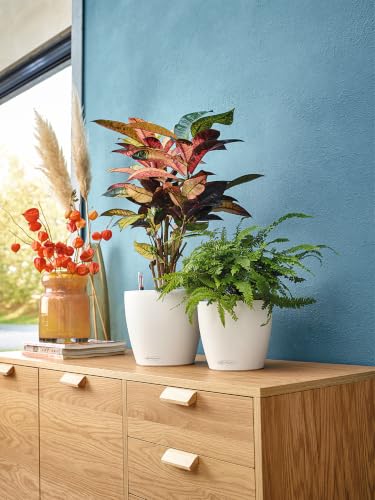 Lechuza Classico Color 43 White, Self-Watering Round Planter, D16.5 H15.7 in - color: White Matte, style: 43