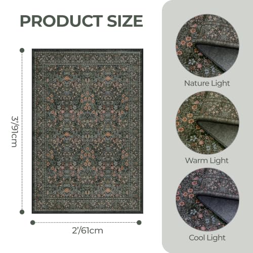 2x3 Kitchen Rugs Floral Small Washable Entryway Rug Runner, Black - color: Black, size: 2' x 3' (Rectangular)