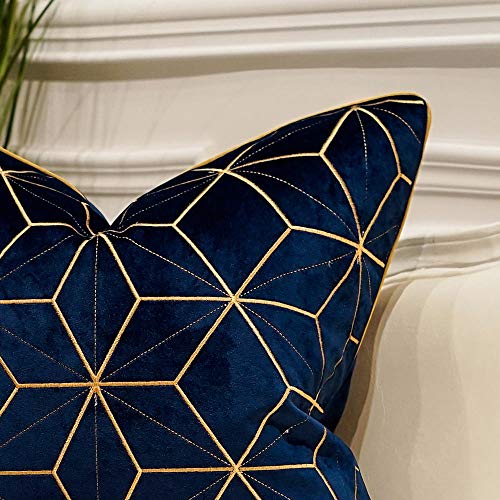 Avigers Throw Pillow Cover 20 x 20 Inch, Blue Gold, Velvet, Hidden Zipper - color: Blue, Gold, size: 20" x 20" (Pack of 1)
