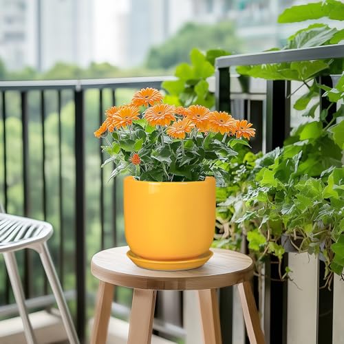 Indoor Plant Pot, 7 Inch Round Ceramic Planter, Yellow - color: Gloss Yellow, size: 7 Inch