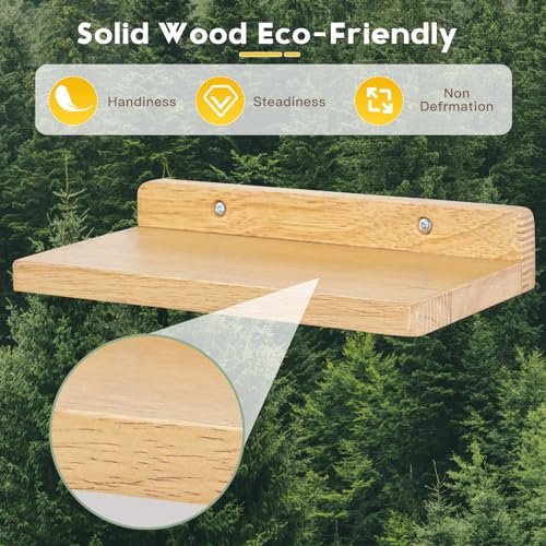 Small Floating Shelves for Wall,5x8.5 Inch,Natural Wood,Set of 3 - color: Wood Color