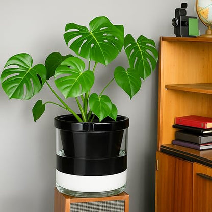 D'vine Dev Self-Watering Black Terracotta Planter Pot, 10 in, 37-X-D-3 - color: Black, size: 10 Inch