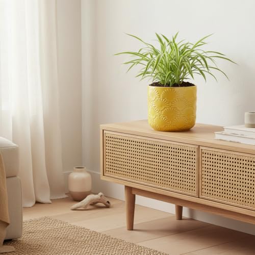 Boho Ceramic Planter，6.7" Contemporary Flower Pot for Indoor Outdoor Plants - color: Butter Yellow