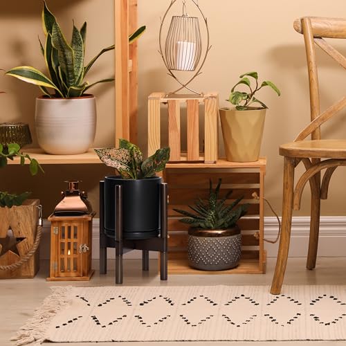 D'vine Dev Ceramic Pot with Walnut Wood Stand, Black, 8 in, 55-B-Y-2 - color: Black Pot + Walnut Color Stand, size: 8 Inch