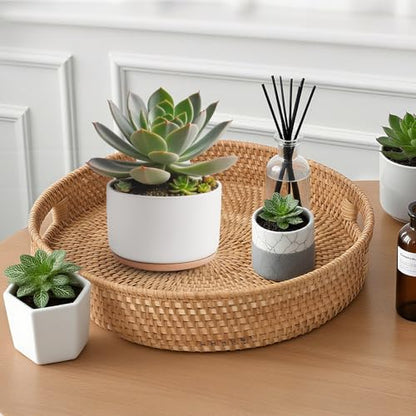 Round Rattan Serving Tray with Handles, Natural Wicker Decorative Tray for Serving, Fruit/Bread Serving Basket, Round Woven Tray，11.8 inch, Gift Idea Choice (11.8") - size: 11.8"