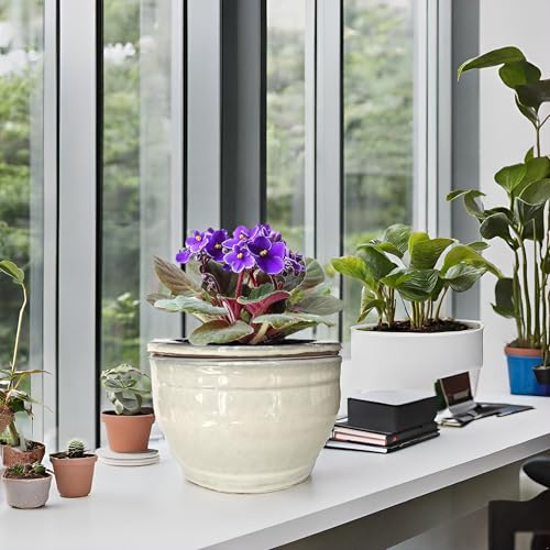 African Violet Pots Self Watering White 6 inch - color: White