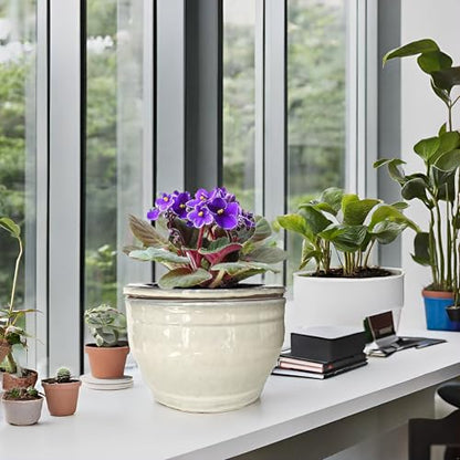 African Violet Pots Self Watering White 6 inch - color: White