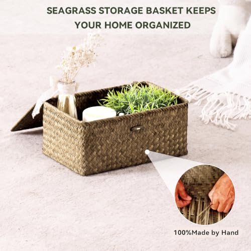 Nonam Wicker Storage Basket with Lid,Seagrass Shelf Basket Set of 3,Coffee - color: Coffee* Set of 3