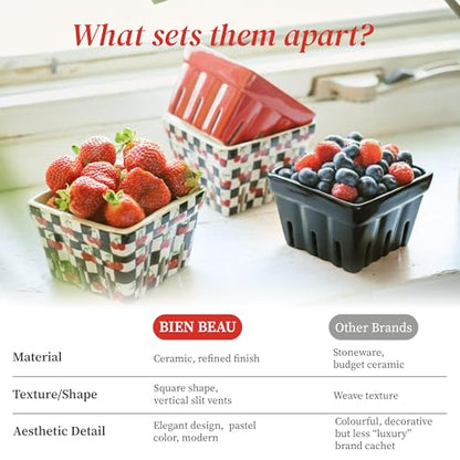 BIEN BEAU Ceramic Berry Baskets Set of 4, Checkered Berry Colander - color: Black