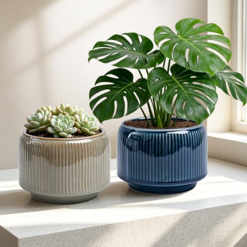 6 Inch Ceramic Plant Pots Set of 2 with Drainage Hole for Indoor Plants - color: Navy & Taupe