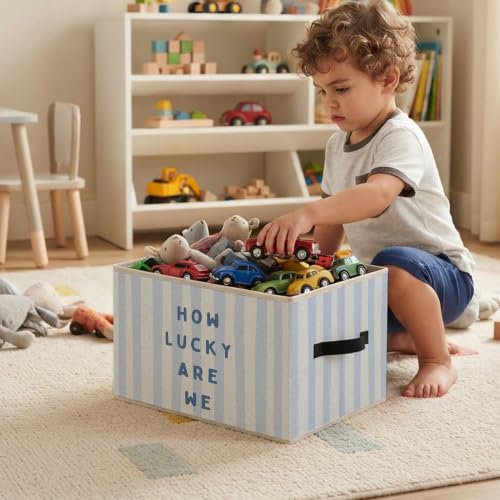 How Lucky Are We Preppy Blue Striped Storage Basket Organizer - color: How Lucky
