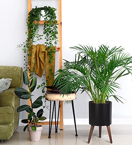 D'vine Dev 10 Inch Planter Pot with Wood Stand, Black, 88-O-B-2 - color: Matte Black, size: Medium