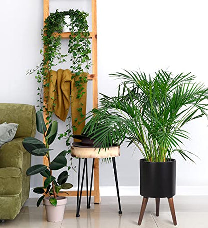 D'vine Dev 10 Inch Planter Pot with Wood Stand, Black, 88-O-B-2 - color: Matte Black, size: Medium