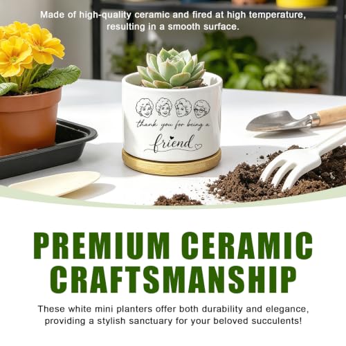 Ceramic Succulent Pots, Small Flower Planter with Bamboo Base, No Plants - color: Friends