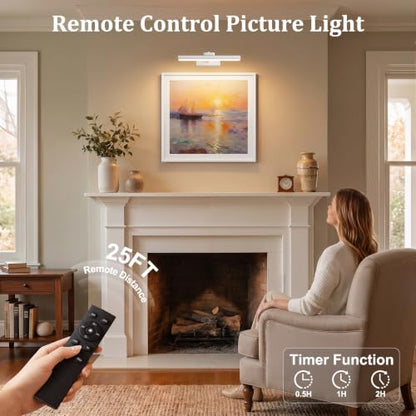 Picture Light for Wall, 4000mAh, White, 13.8 Inch, 2 Pack - color: White