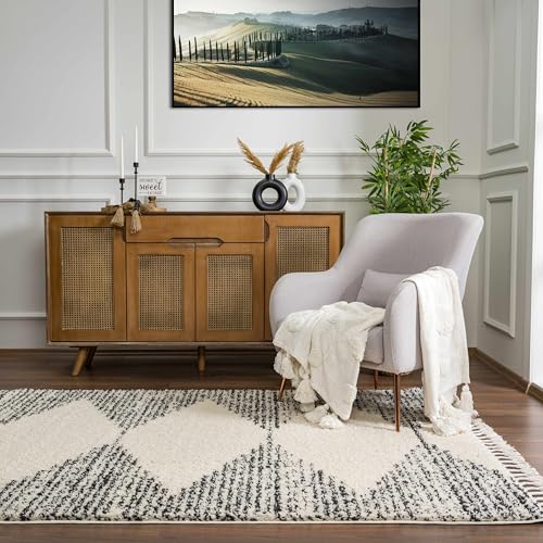 Hauteloom Berber Shag Collection - Howth Farmhouse Entryway, Bedroom, Kitchen Shaggy Runner Rug with Tassel - Fluffy Plush High Pile Carpet - Southwestern Tribal Style - Beige, Black - 2'7" x 7'3" - color: Beige, Black, White / Howth, size: 2'7" x 7'3" (R