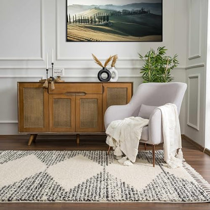 Hauteloom Berber Shag Collection - Howth Farmhouse Entryway, Bedroom, Kitchen Shaggy Runner Rug with Tassel - Fluffy Plush High Pile Carpet - Southwestern Tribal Style - Beige, Black - 2'7" x 7'3" - color: Beige, Black, White / Howth, size: 2'7" x 7'3" (R