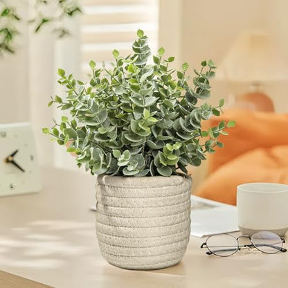 Hopewood Faux Plants, Fake Plants Eucalyptus Potted for Home Office Desk, Artificial Eucalyptus with a Weave Basket for Indoor Greenery Tabletop - color: Green Plant Style E