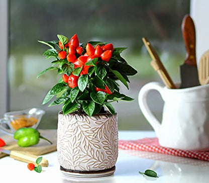 D'vine Dev Embossed Leaves Ceramic Planter, 5 in, Smoked White, 27-A-V-1 - color: Smoked White, size: 5 Inch