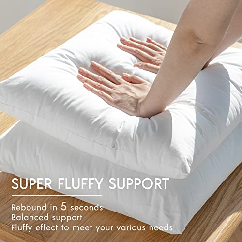 Phantoscope Outdoor Pillows Waterproof 18x18 Outdoor Pillow Inserts 2 Pack - size: 18x18 Inch