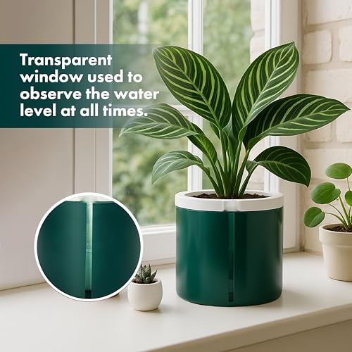 D'vine Dev Self Watering Terracotta Pot, Teal Glass Cup, 8 in, 37-X-C-5 - color: Teal, size: 8 Inch