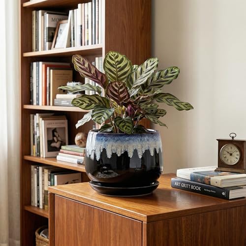 Ceramic Plant Pots 7 Inch, Ceramic Planter with Saucer, Black-Blue - size: 7 Inch, style: Black-blue