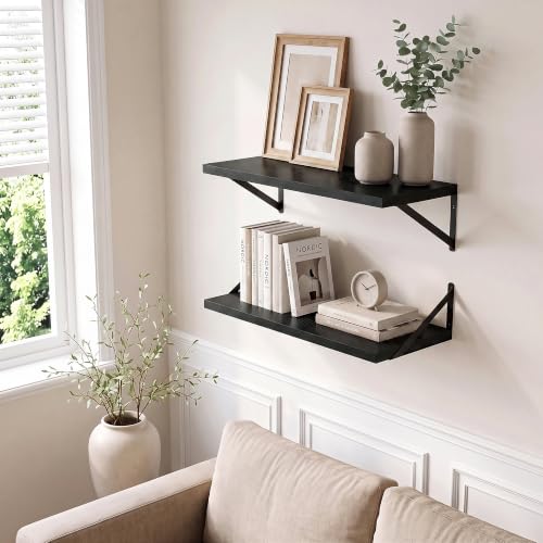 Axeman Deep Floating Shelves, 18'' x 12'' Black Wall Shelves Set of 2 - color: Black, size: 18W x 12D