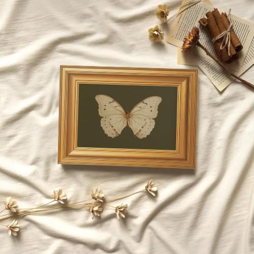 EJPFOGV Butterfly Framed Canvas Wall Art Dark Green Background 8x10 inches - color: Butterfly, size: 10"L x 8"W