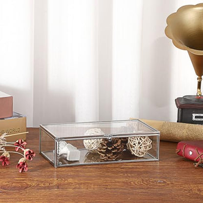 Hipiwe Glass Keepsake Display Box Large Clear Jewelry Lidded Boxes with Lid - color: Silver, size: Large